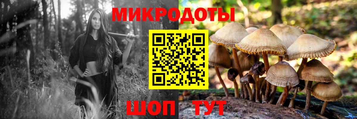 Псилоцибиновые грибы MAGIC MUSHROOMS  Вход с VPN  Советский 